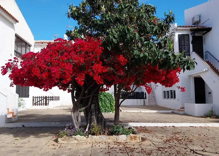 Studio Pedras D\'El Rei